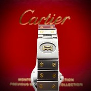 cartier vintage santos octogonal gold steel automatic 28mm 6